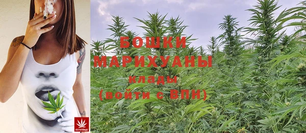 индика Новокубанск