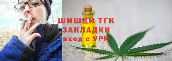 ПСИЛОЦИБИНОВЫЕ ГРИБЫ Гусиноозёрск