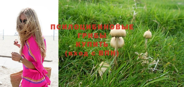 PSILOCYBIN Няндома