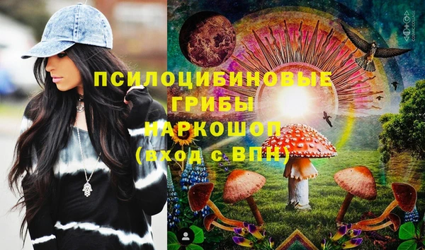 индика Новокубанск