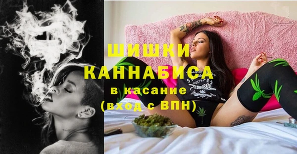 PSILOCYBIN Няндома