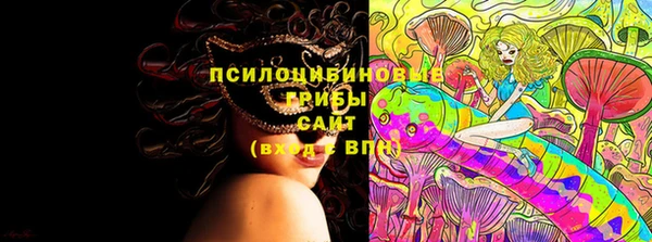 твердый Нягань