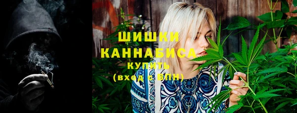индика Новокубанск