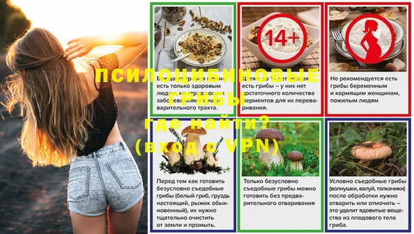 индика Новокубанск