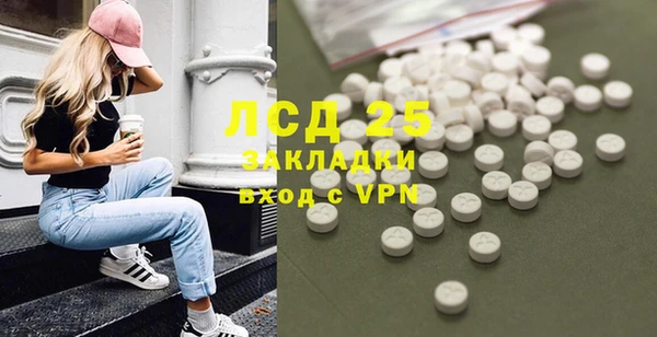 индика Новокубанск