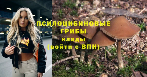 PSILOCYBIN Няндома