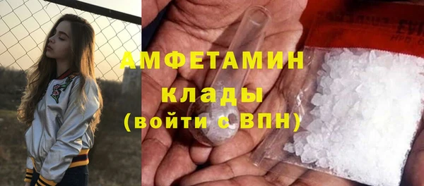PSILOCYBIN Няндома