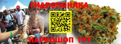 ECSTASY Абинск