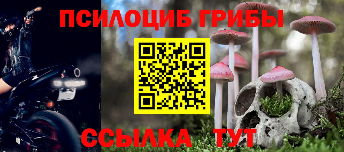 где найти наркотики  Вход с VPN  Краснокамск  Псилоцибиновые грибы Magic Shrooms  Галлюциногенные грибы MAGIC MUSHROOMS 