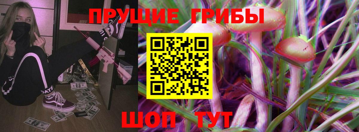 Псилоцибиновые грибы Psilocybine cubensis  Краснокамск  Галлюциногенные грибы мухоморы 